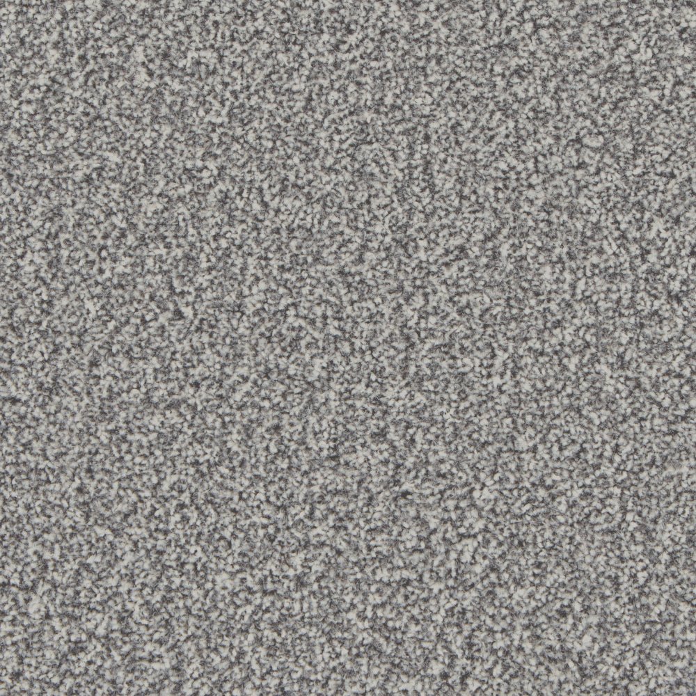 Cormar Carpet Co Kingston Easy Clean carpet, close-up view showing soft, textured fibers and durable surface design.
