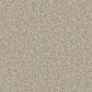 Kingston Easy Clean Carpet - Surefit CarpetsDoncaster