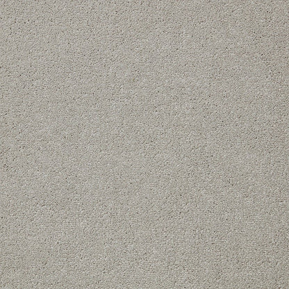 Cormar Carpet Co Primo Plus Easy Clean Carpet in neutral beige with a plush texture, ideal for living rooms and bedrooms.