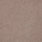 Cormar Carpet Co Primo Plus Easy Clean carpet showing soft beige textured surface for durable, stain-resistant flooring.