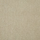Primo Plus Easy Clean Carpet - Surefit CarpetsDoncaster