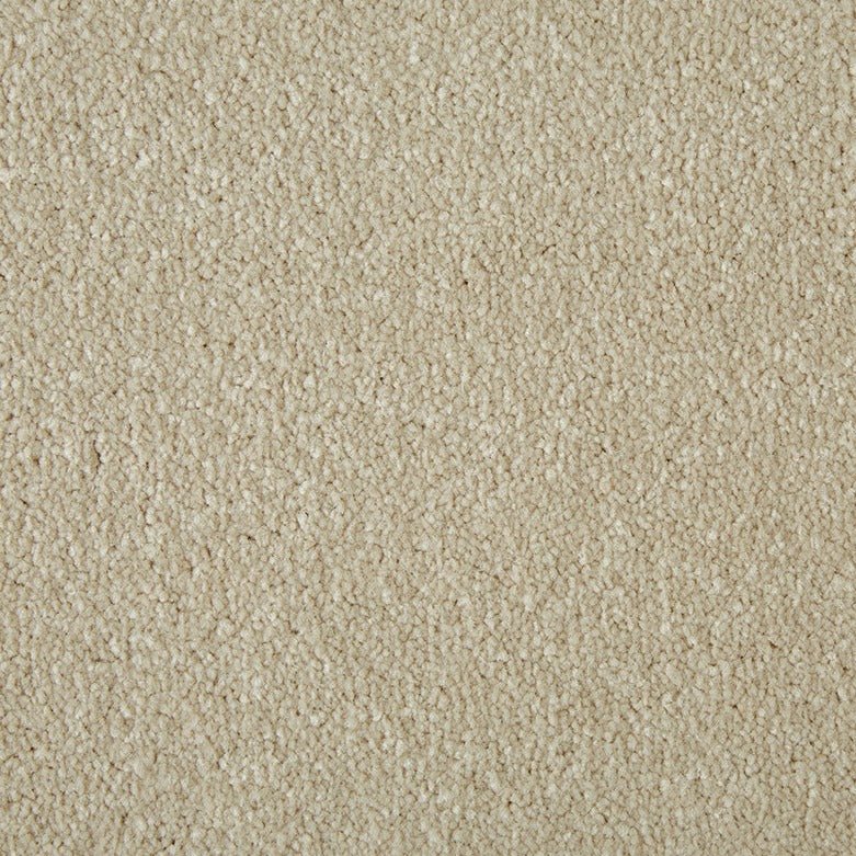 Primo Plus Easy Clean Carpet - Surefit CarpetsDoncaster