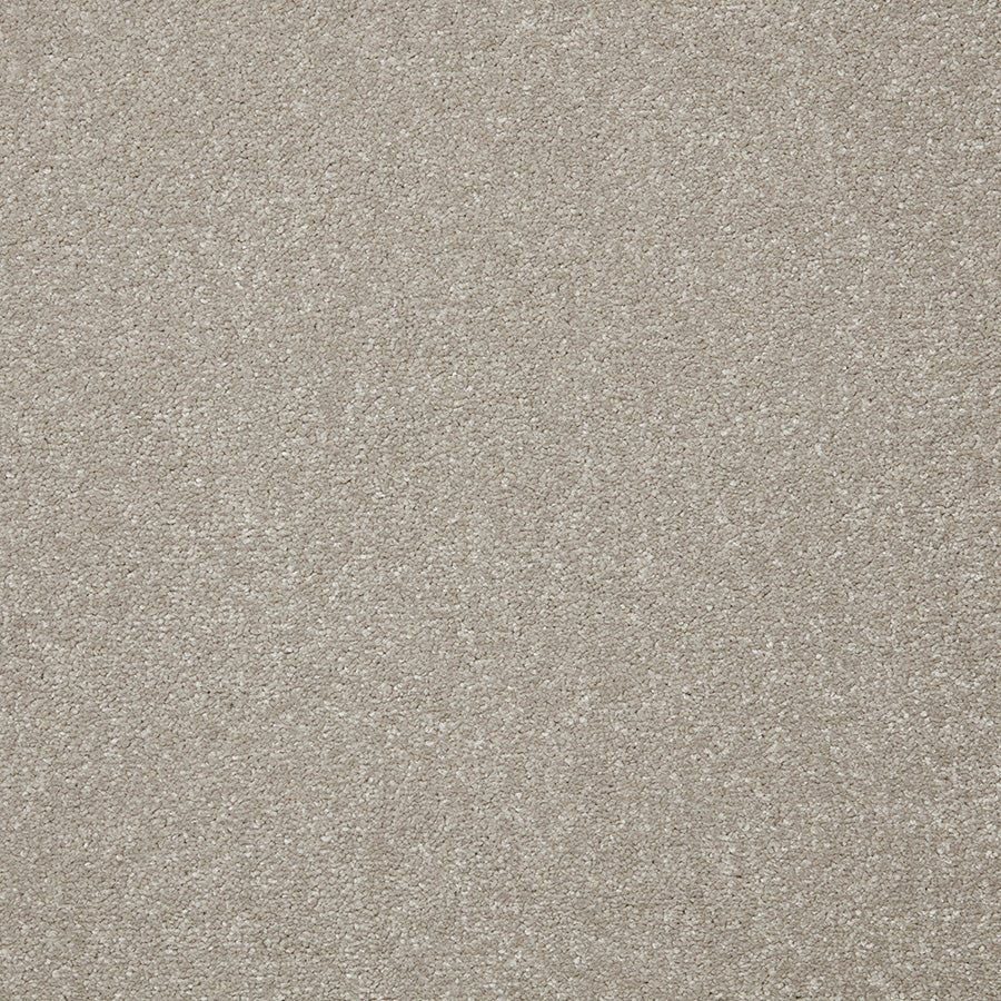 Cormar Carpet Co Primo Plus Easy Clean carpet roll with textured beige surface and plush pile, ideal for modern living rooms.