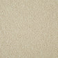 Cormar Carpet Co Primo Plus Easy Clean Carpet showcasing a plush, durable carpet with a neutral beige tone.