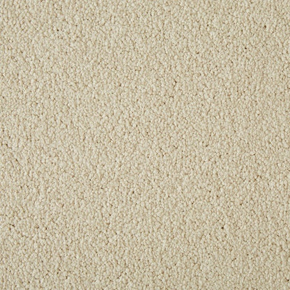 Cormar Carpet Co Primo Plus Easy Clean Carpet showcasing a plush, durable carpet with a neutral beige tone.