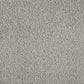 Close-up of Primo Plus Easy Clean Carpet by Cormar Carpet Co, showing its soft, textured surface and durable fibers.