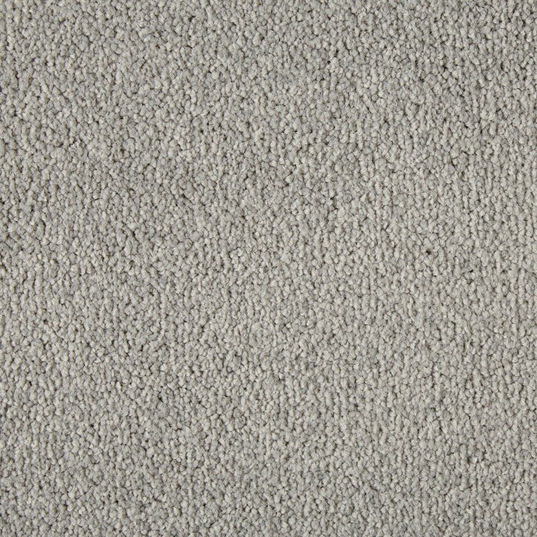 Close-up of Primo Plus Easy Clean Carpet by Cormar Carpet Co, showing its soft, textured surface and durable fibers.