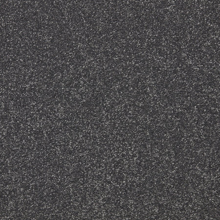 Close-up of Primo Plus Easy Clean Carpet by Cormar Carpet Co showing its textured, durable carpet surface in neutral tones.