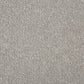 Primo Plus Easy Clean Carpet by Cormar Carpet Co featuring a plush, durable carpet with a soft, textured surface in neutral tones.