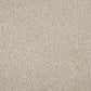 Cormar Carpet Co Primo Plus Easy Clean Carpet, close-up of textured beige carpet with soft fibers and durable finish.