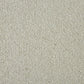 Primo Plus Easy Clean Carpet - Surefit CarpetsDoncaster