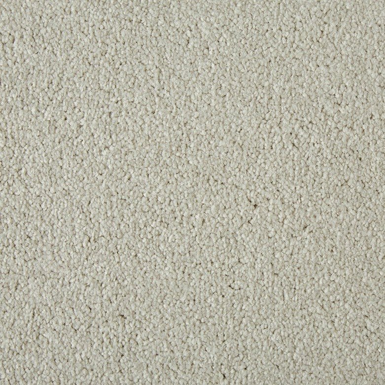 Primo Plus Easy Clean Carpet - Surefit CarpetsDoncaster