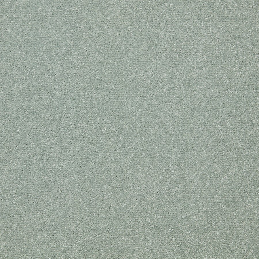 Close-up of Primo Plus Easy Clean carpet by Cormar Carpet Co, showcasing soft texture and durable woven fibers.