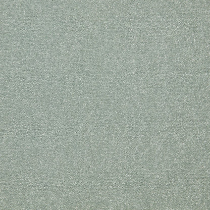 Close-up of Primo Plus Easy Clean carpet by Cormar Carpet Co, showcasing soft texture and durable woven fibers.