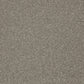 Cormar Carpet Co Primo Plus Easy Clean Carpet showing a plush, beige textured surface suitable for living rooms and bedrooms.