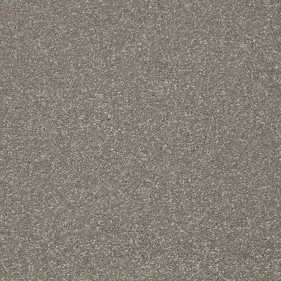 Cormar Carpet Co Primo Plus Easy Clean Carpet showing a plush, beige textured surface suitable for living rooms and bedrooms.