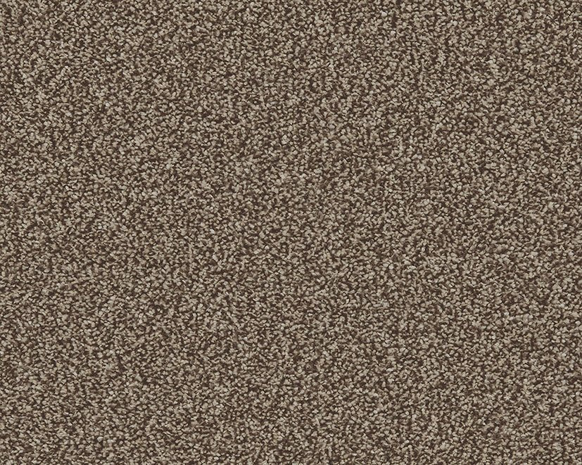Close-up of Cormar Carpet Co's Linwood stain-resistant carpet showcasing its textured, durable surface in neutral tones.