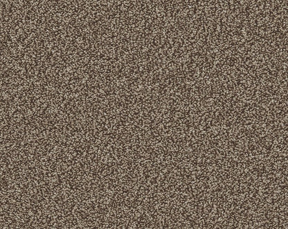 Close-up of Cormar Carpet Co's Linwood stain-resistant carpet showcasing its textured, durable surface in neutral tones.
