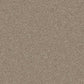 Close-up of Cormar Carpet Co Linwood stain-resistant carpet showing its plush, textured surface in neutral tones.