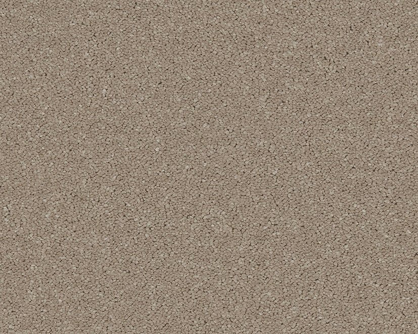 Close-up of Cormar Carpet Co Linwood stain-resistant carpet showing its plush, textured surface in neutral tones.