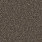 Close-up of Cormar Carpet Co's Linwood stain-resistant carpet showing its textured, durable surface in neutral tones.