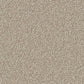 Stain resistant Linwood carpet by Cormar Carpet Co featuring a soft, plush texture in neutral tones for durable home flooring.