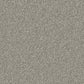 Close-up of Cormar Linwood stain-resistant carpet with textured beige fibers and durable carpet surface.