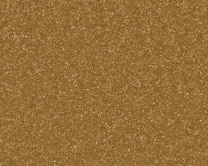 Light beige Linwood stain-resistant carpet by Cormar Carpet Co with a plush, soft texture for living rooms and bedrooms.
