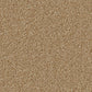 Stain-resistant Linwood carpet by Cormar Carpet Co, showing plush beige carpet with a textured surface and clean edges.