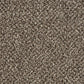 Close-up of Primo Tweed Easy Clean Carpet by Cormar Carpet Co, showing textured tweed pattern in neutral tones.