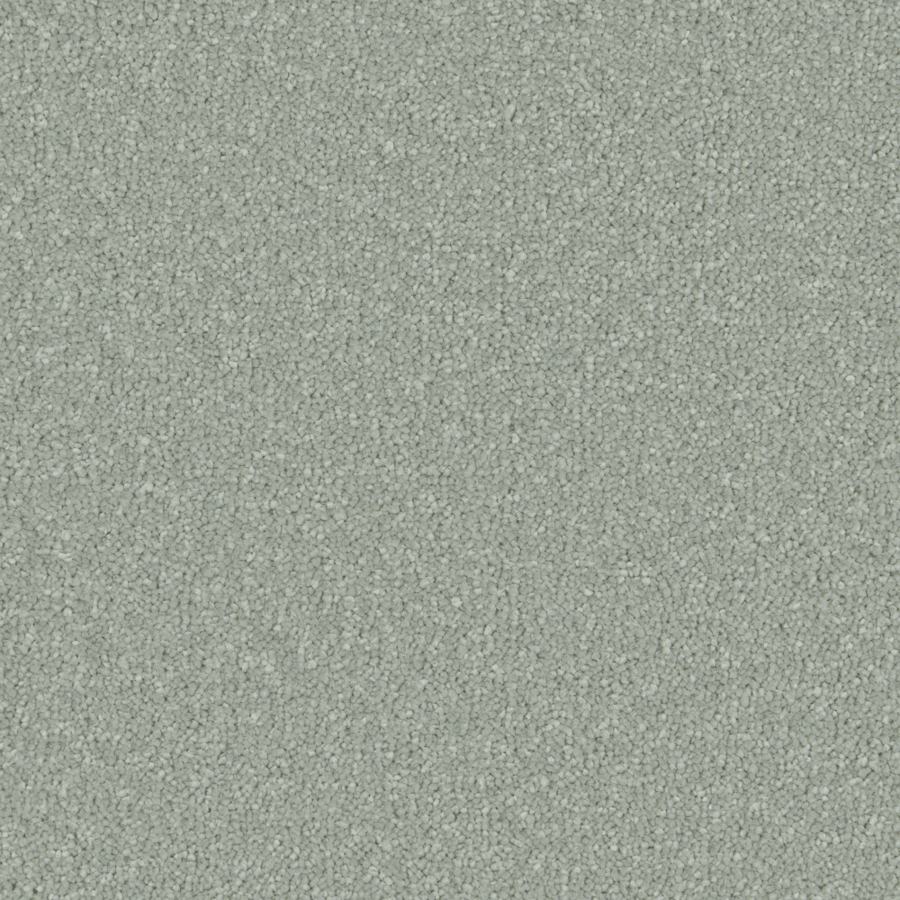 Sensation Original Deep Pile Carpet - Surefit CarpetsDoncaster
