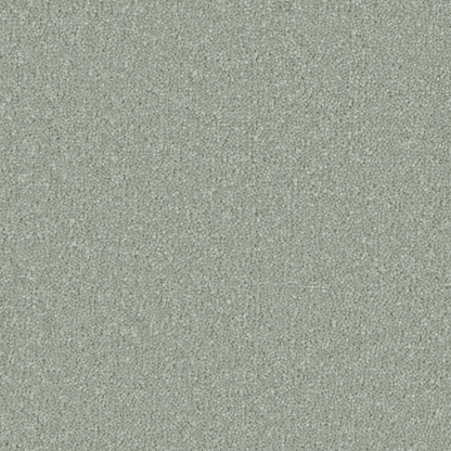 Sensation Original Deep Pile Carpet - Surefit CarpetsDoncaster
