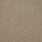 Deep pile Sensation Original carpet by Cormar Carpet Co, showcasing its plush texture and rich color for a cozy interior.