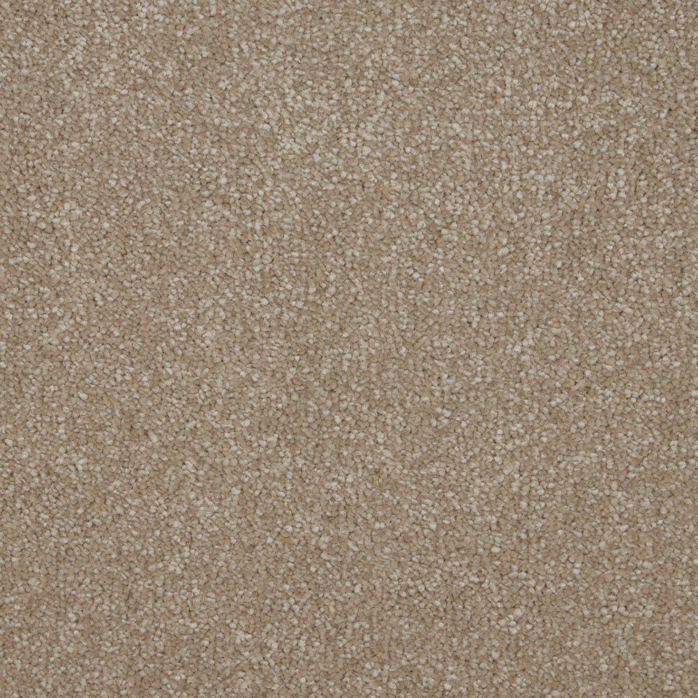 Deep pile Sensation Original carpet by Cormar Carpet Co, showcasing its plush texture and rich color for a cozy interior.