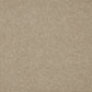 Deep pile Sensation Original carpet by Cormar Carpet Co with plush, textured surface and neutral beige color.