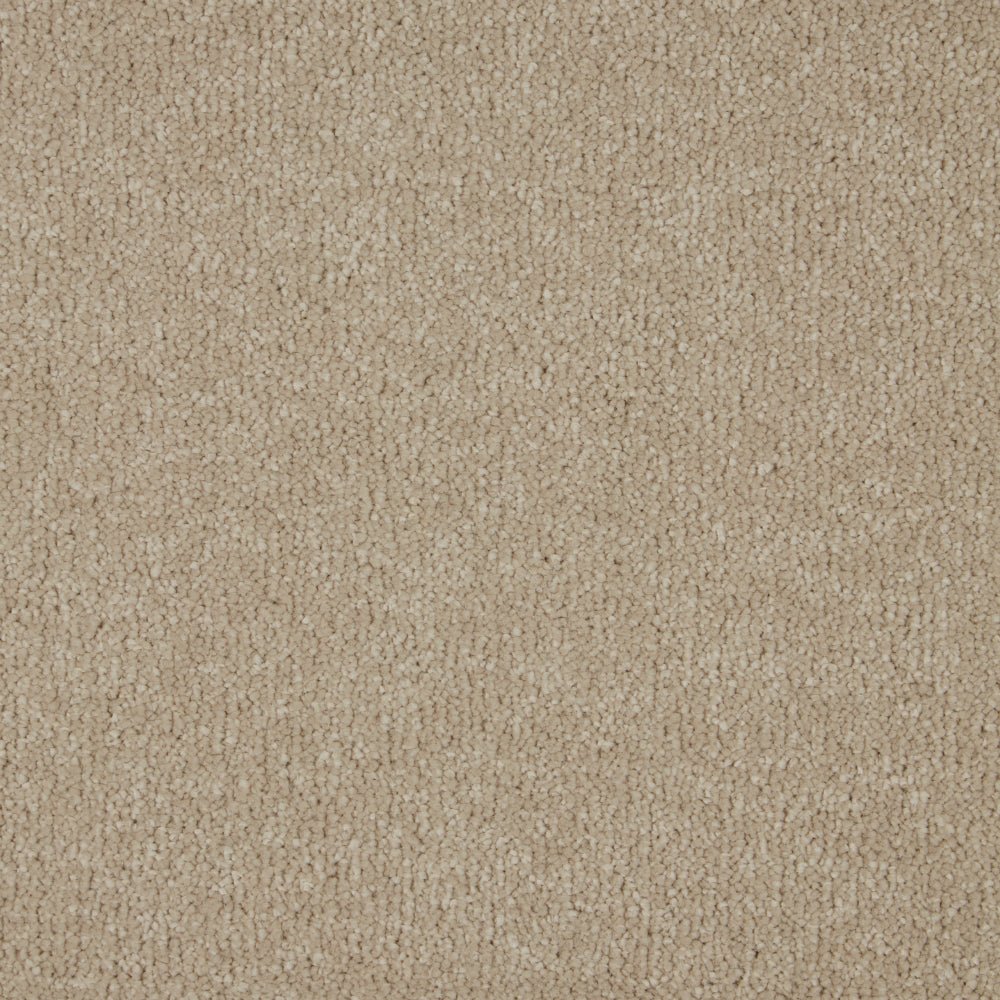 Deep pile Sensation Original carpet by Cormar Carpet Co with plush, textured surface and neutral beige color.