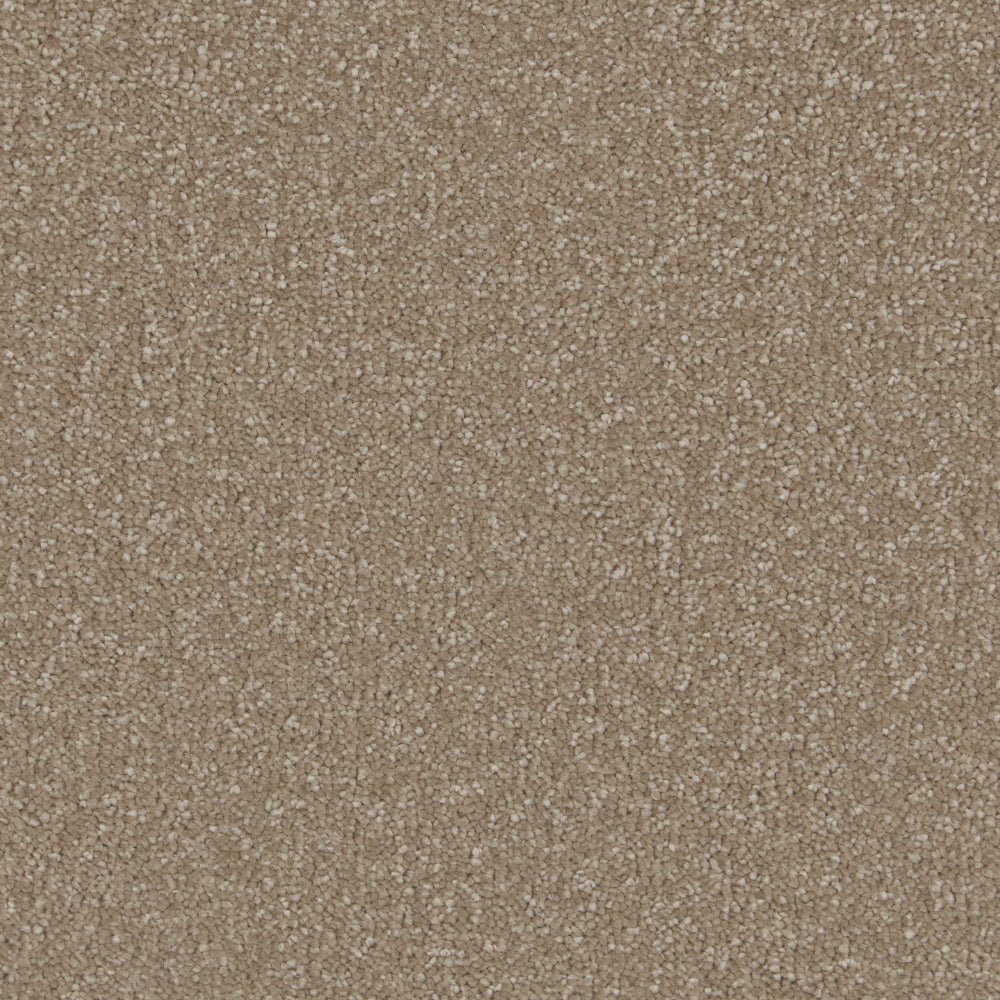 Close-up of Cormar Carpet Co Sensation Original Deep Pile Carpet showcasing its plush, textured deep pile surface.