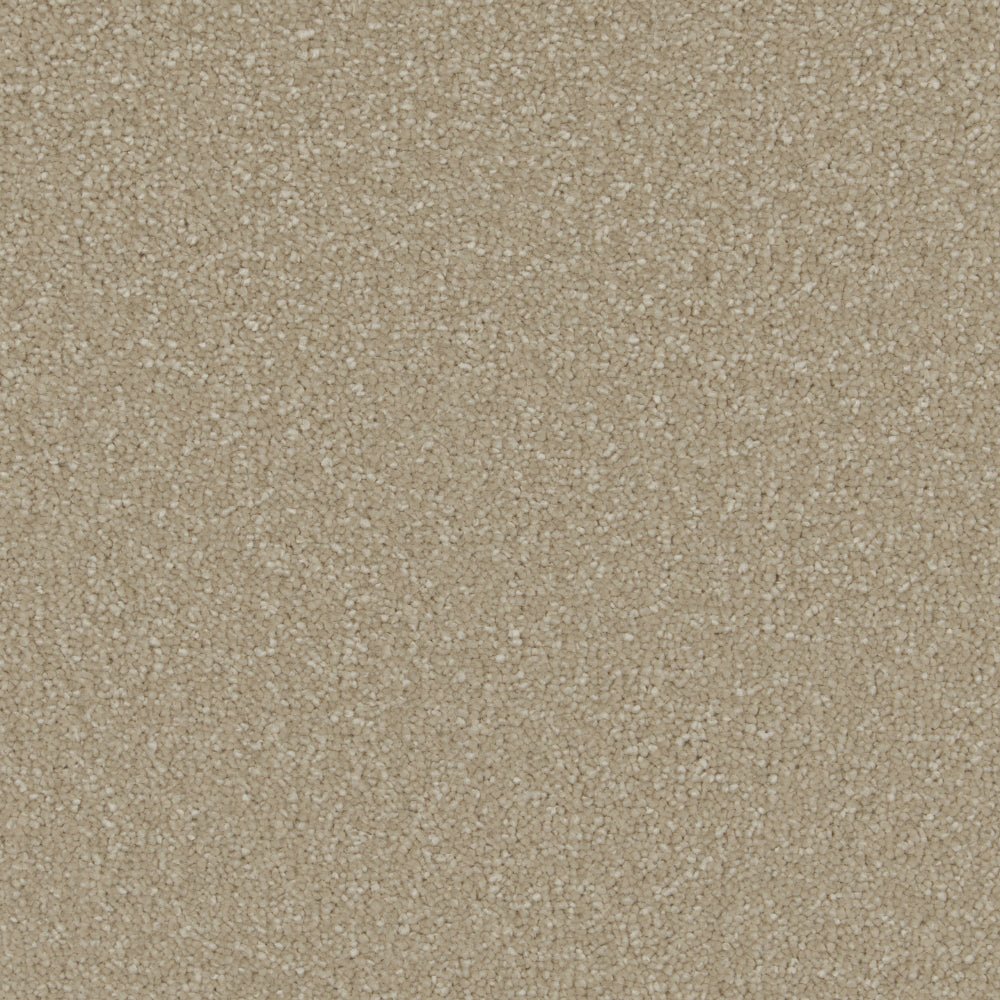Close-up of Cormar Carpet Co's Sensation Original deep pile carpet with plush, textured deep pile in a neutral color.