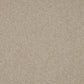 Sensation Original Deep Pile Carpet - Surefit CarpetsDoncaster