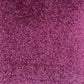 Invicta stain-resistant carpet from Valley Wholesale Carpets featuring a plush, durable design in a neutral color.