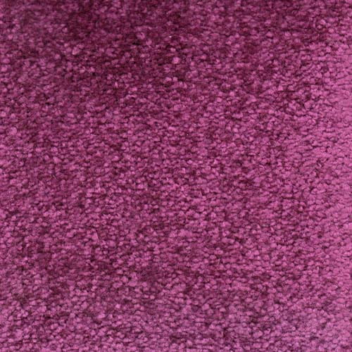 Invicta stain-resistant carpet from Valley Wholesale Carpets featuring a plush, durable design in a neutral color.