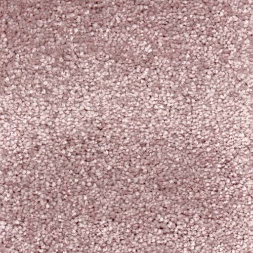 Invicta stain-resistant carpet by Valley Wholesale Carpets showing a plush, durable fabric in neutral tones.