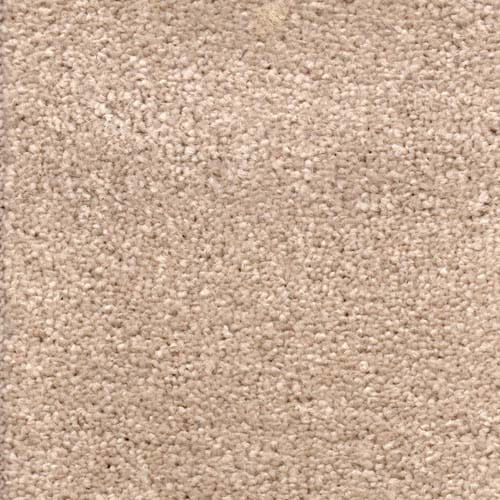 Invicta stain-resistant carpet from Valley Wholesale Carpets, showing soft, plush fibers in a neutral color.