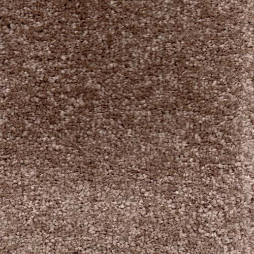 Invicta stain-resistant carpet by Valley Wholesale Carpets with a plush, textured surface in a neutral color.