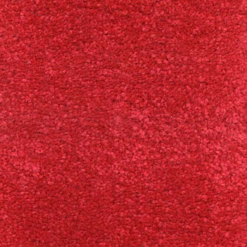 Invicta stain-resistant carpet from Valley Wholesale Carpets with plush, durable fibers and a neutral beige color.