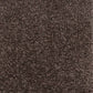 Invicta stain-resistant carpet by Valley Wholesale Carpets, showing a plush, durable carpet with a neutral color and textured surface.