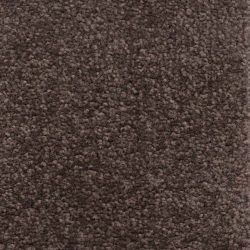 Invicta stain-resistant carpet by Valley Wholesale Carpets, showing a plush, durable carpet with a neutral color and textured surface.