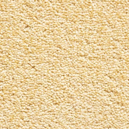 Invicta stain resistant carpet by Valley Wholesale Carpets, showing a plush, durable carpet in neutral tones.