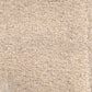 Valley Wholesale Carpets Invicta stain-resistant carpet with plush texture and neutral color for durable home flooring.