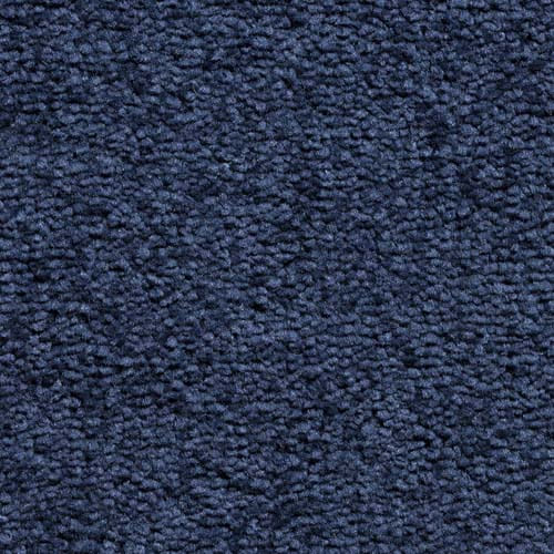 Invicta stain-resistant carpet by Valley Wholesale Carpets featuring a plush, durable design in neutral tones.